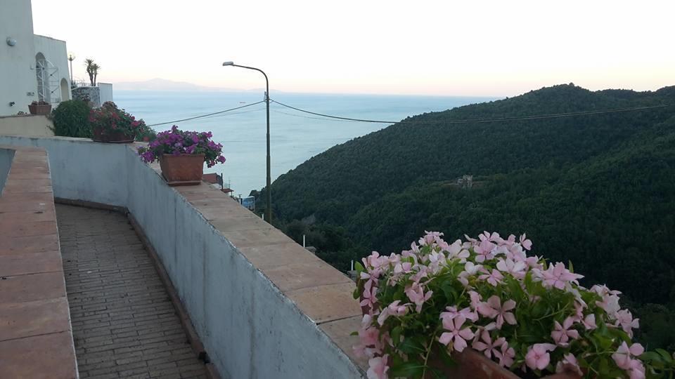 Le Terrazze Di Cristina Bed & Breakfast Vietri Ngoại thất bức ảnh