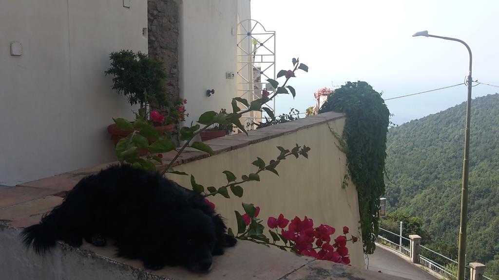Le Terrazze Di Cristina Bed & Breakfast Vietri Ngoại thất bức ảnh
